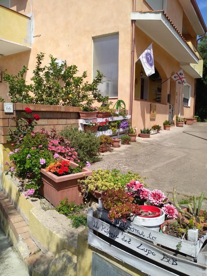 Paringianu B&B Il Rifugio Del Lupo - E6721 المظهر الخارجي الصورة